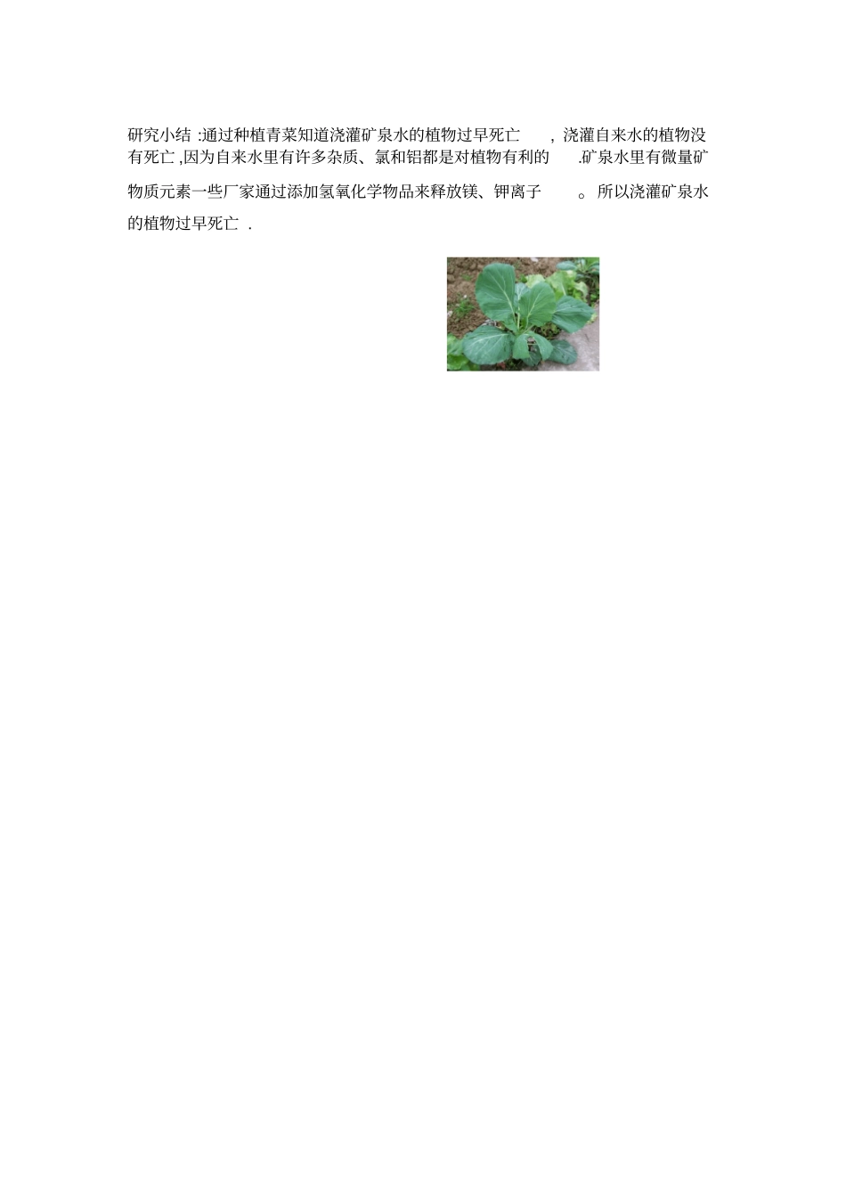 完整版植物研究报告_第3页