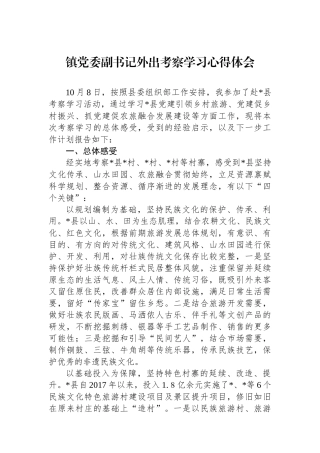 镇党委副书记外出考察学习心得体会