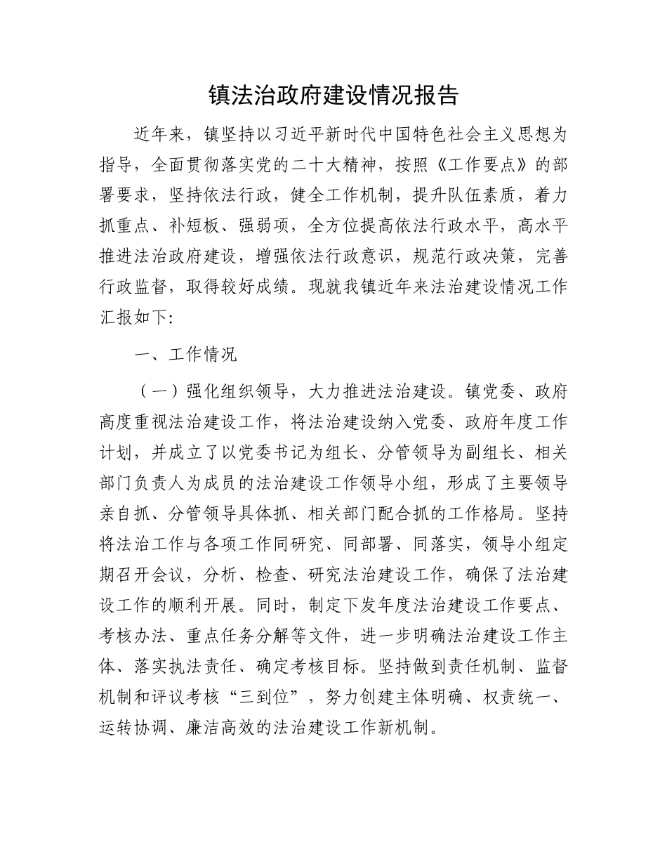 镇法治政府建设情况报告_第1页