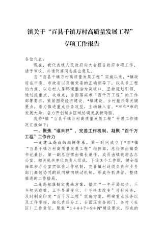 镇关于“百县千镇万村高质量发展工程”专项工作报告
