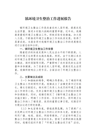 镇环境卫生整治工作进展报告