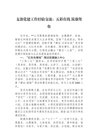 支部党建工作经验交流：五彩在线 筑强堡垒
