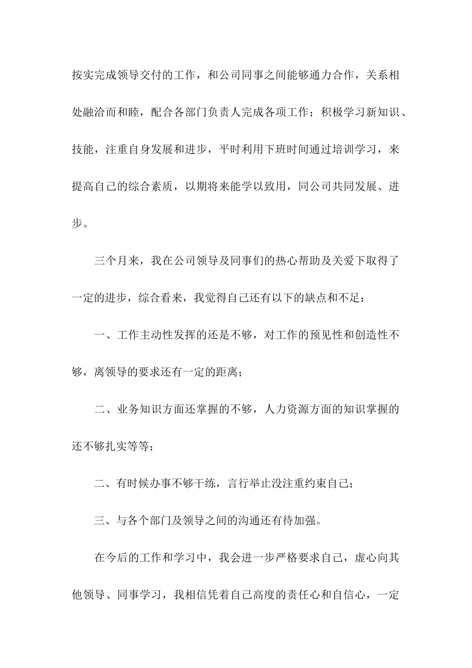 总监转正的申请书_第2页