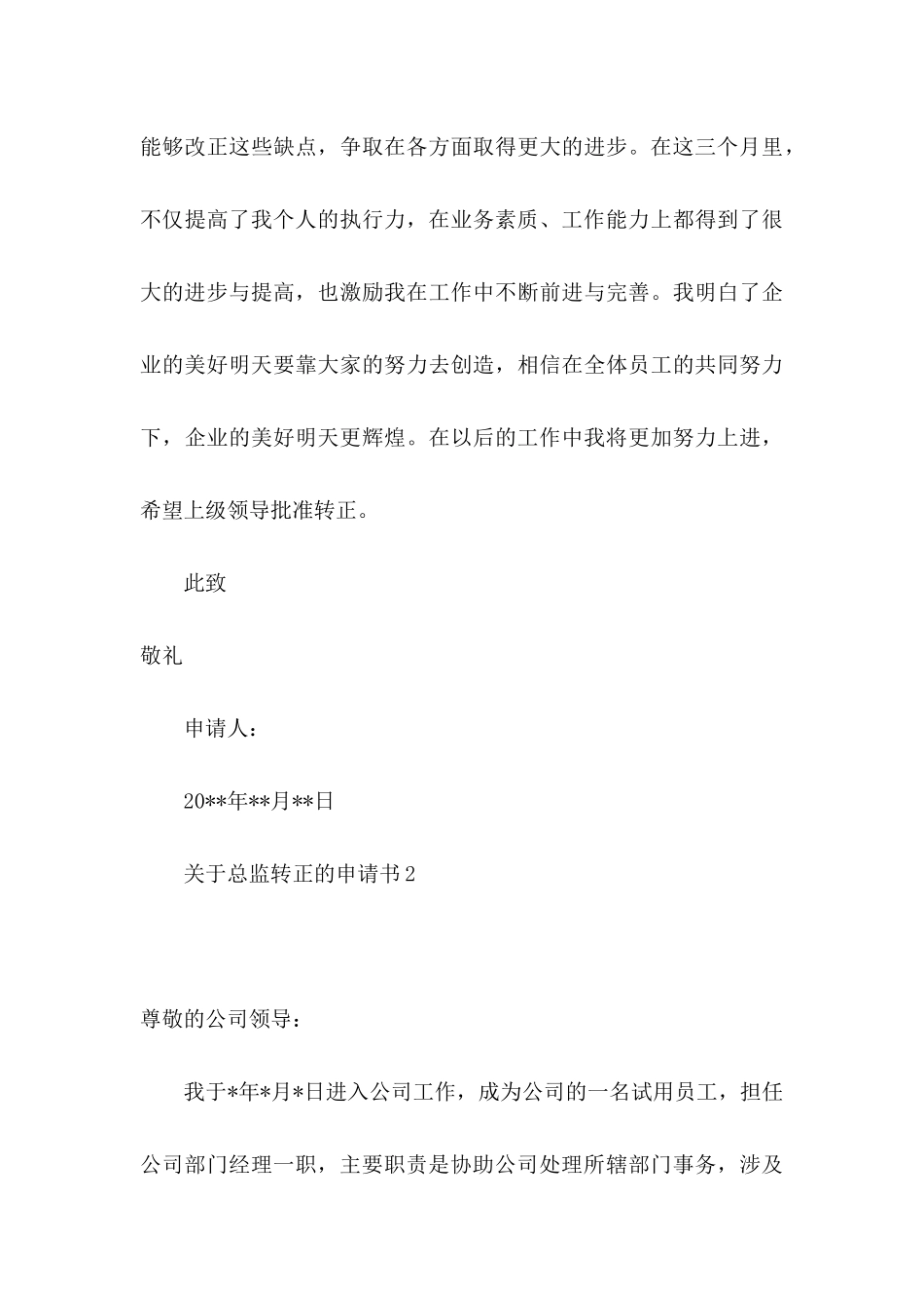 总监转正的申请书_第3页