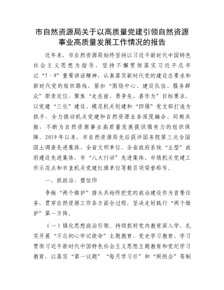市自然资源局关于以高质量党建引领自然资源事业高质量发展工作情况的报告