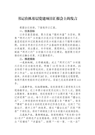 书记在抓基层党建项目汇报会上的发言