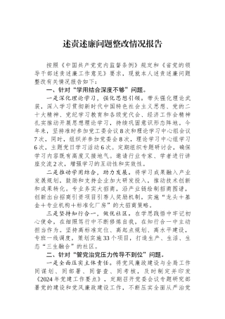 述责述廉问题整改情况报告