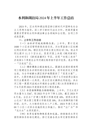水利和湖泊局2024年上半年工作总结