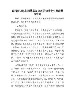 县两新组织领域基层党建薄弱领域专项整治整改报告
