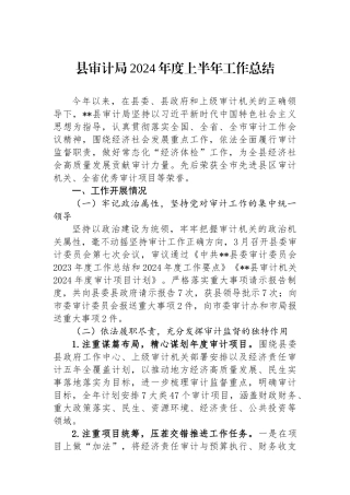 县审计局2024年度上半年工作总结