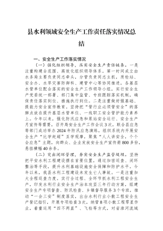县水利领域安全生产工作责任落实情况总结