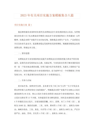 2023年有关项目实施方案模板集合八汇总