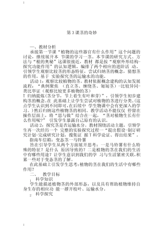 湘科版小学科学新版三年级下册科学第四单元 第3课 茎的奇妙 教案