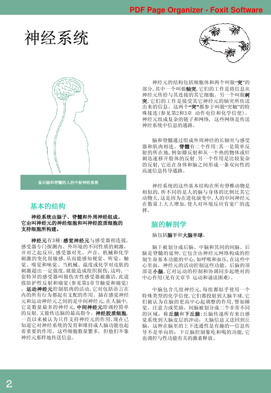 图文神经科学中文版_第1页