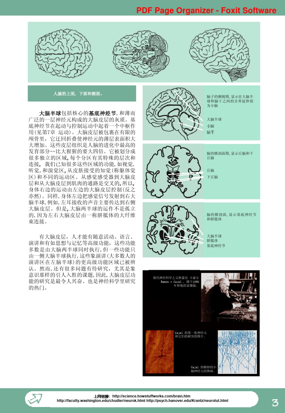 图文神经科学中文版_第2页