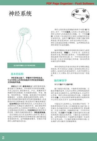 图文神经科学中文版