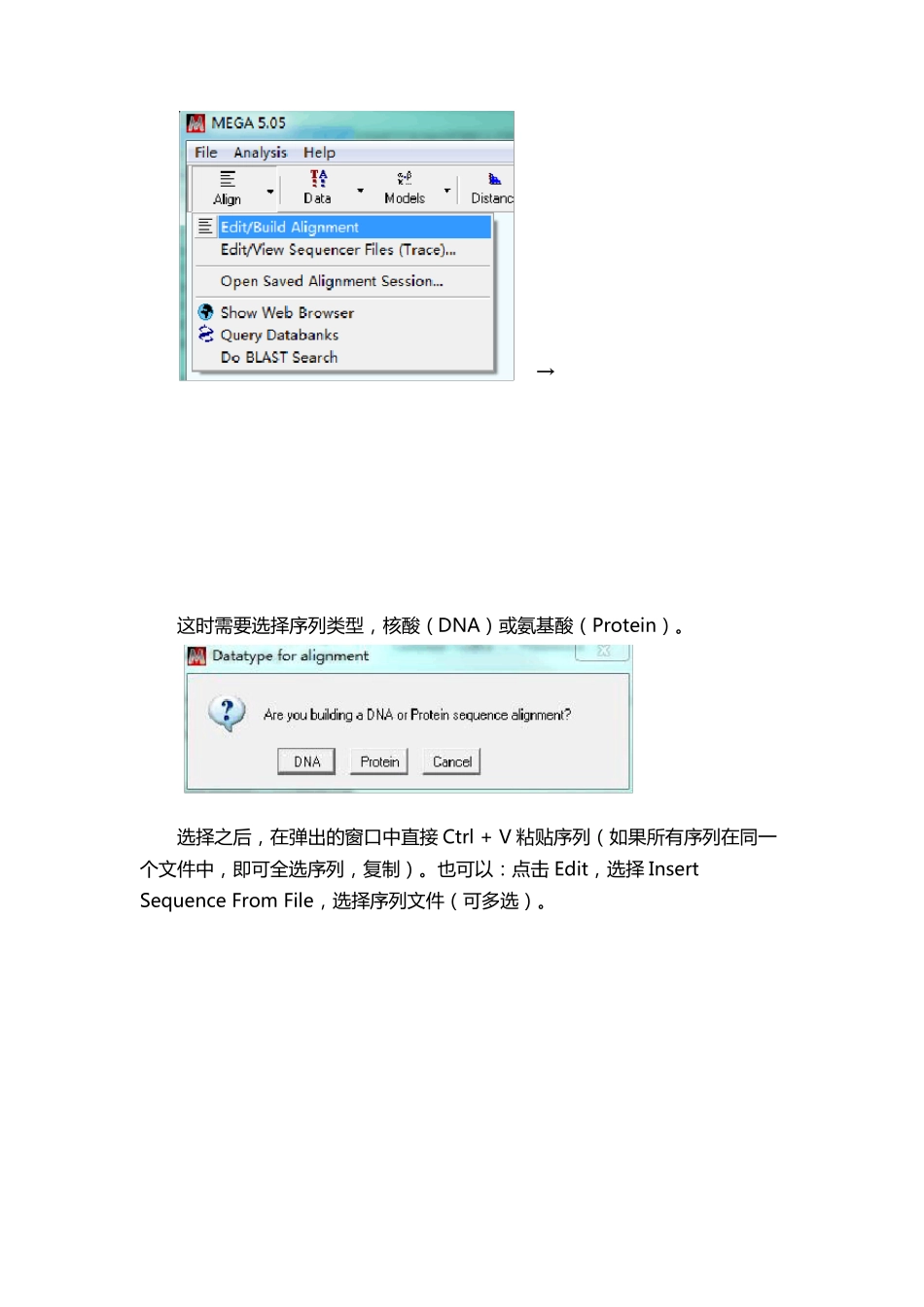 图文详解MEGA5构建系统发育树_第2页