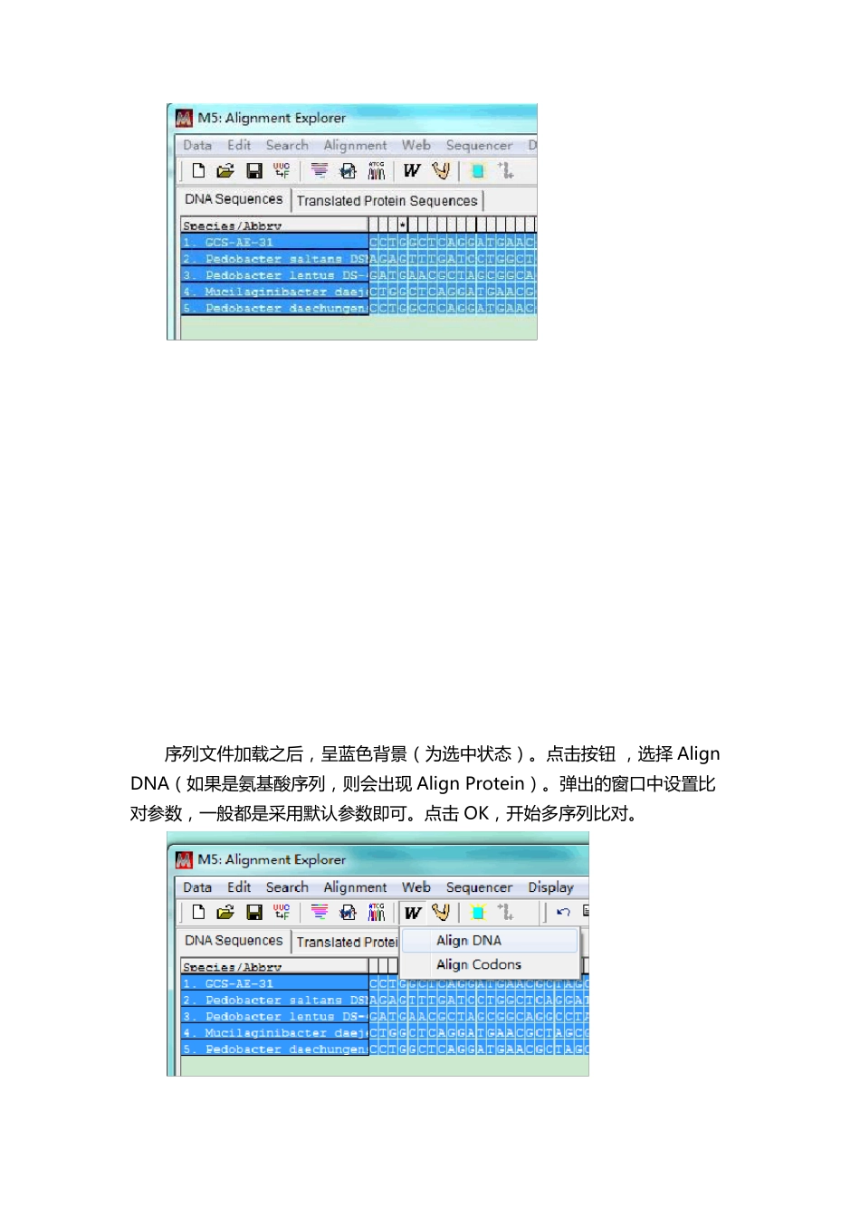 图文详解MEGA5构建系统发育树_第3页