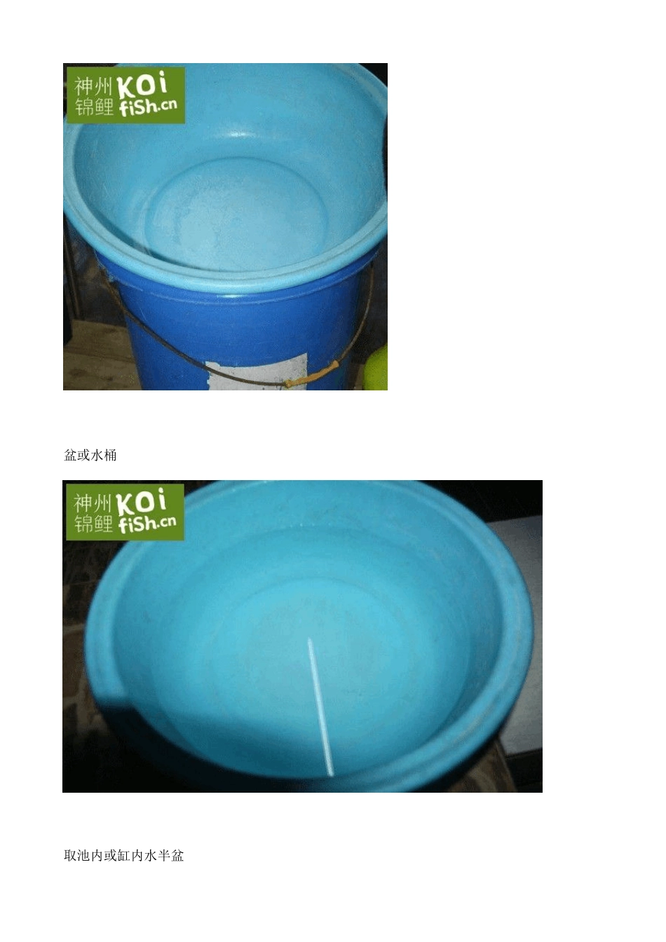 图文锦鲤烂肉穿孔处理及防交叉感染全过程_第2页