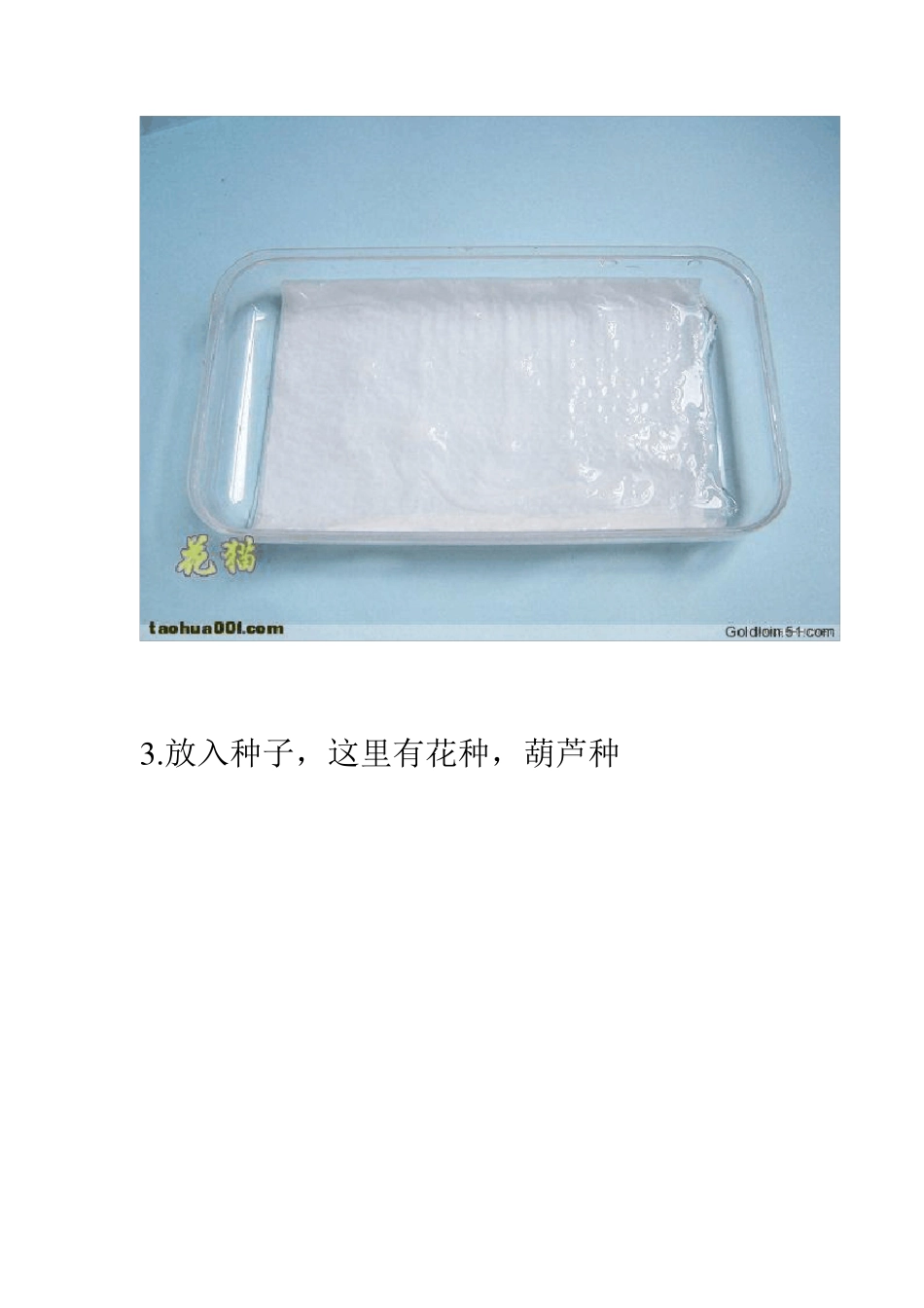 图示纸巾催芽全过程_第2页