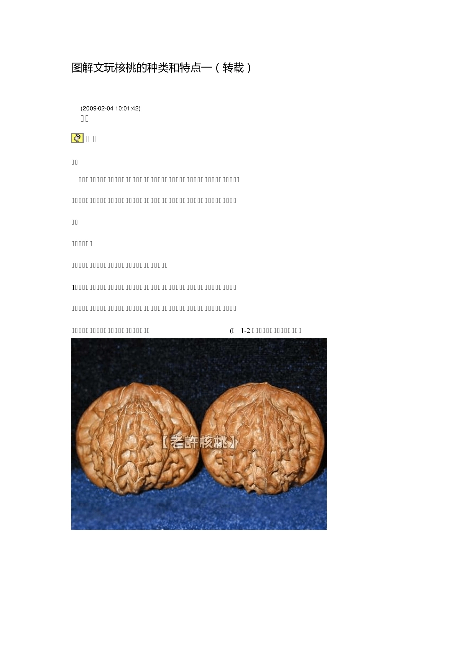 图解文玩核桃的种类和特点_第1页