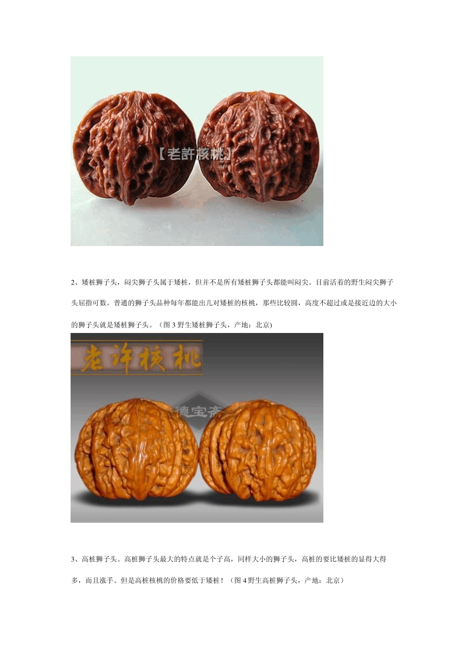 图解文玩核桃的种类和特点_第2页