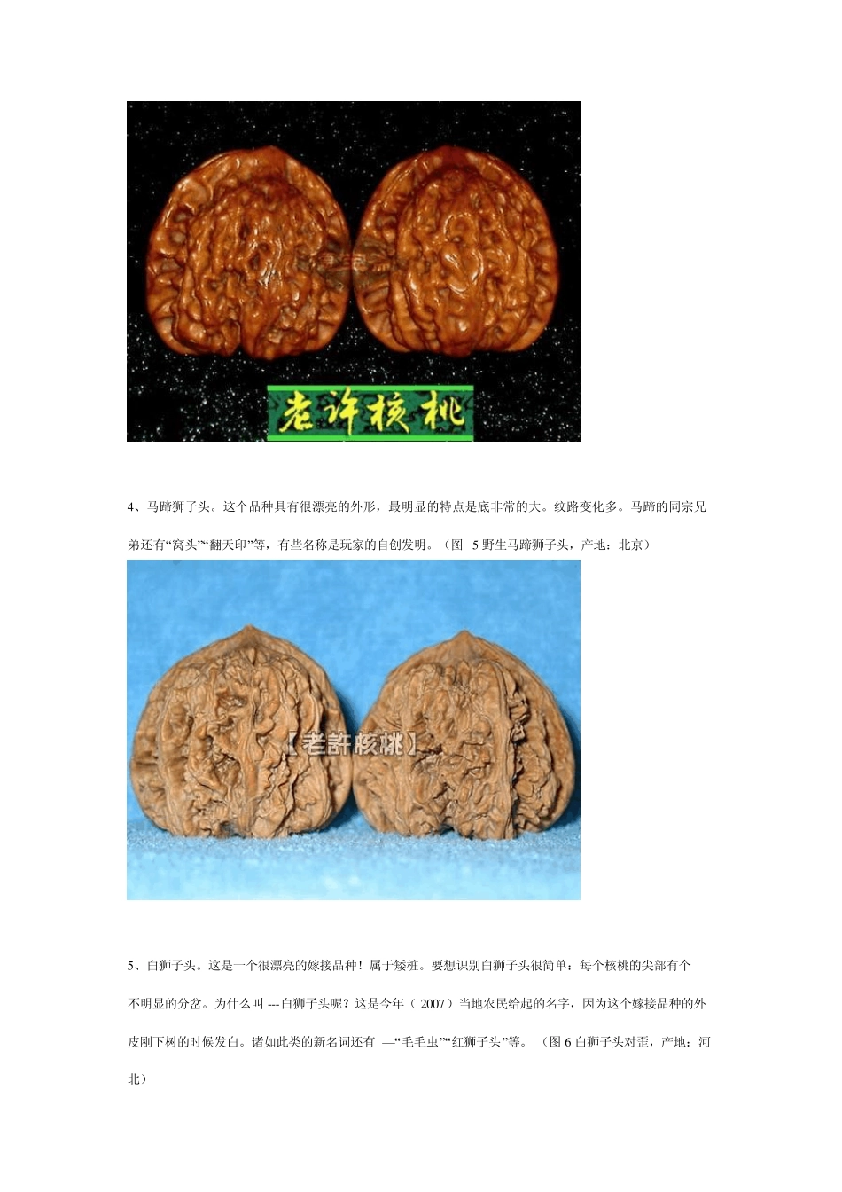 图解文玩核桃的种类和特点_第3页