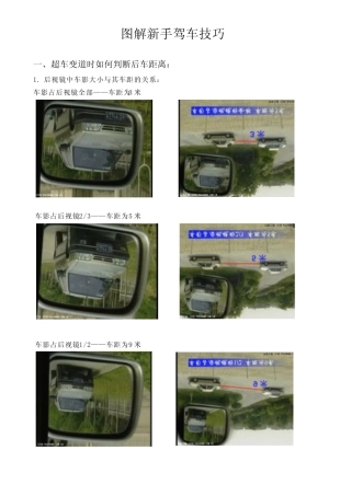 图解新手驾车技巧(新编)