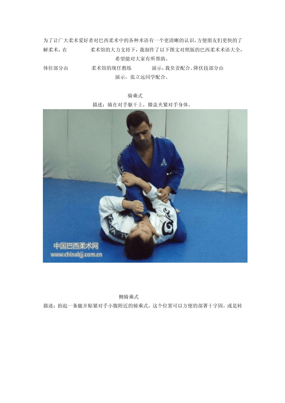 图解格雷西柔术技巧_第1页