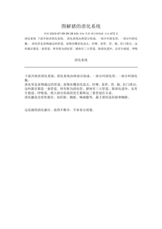 图解猪的消化系统