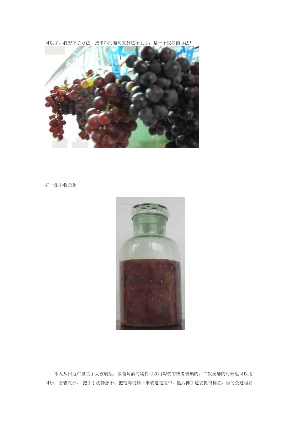 图解葡萄酒的制作方法_第2页