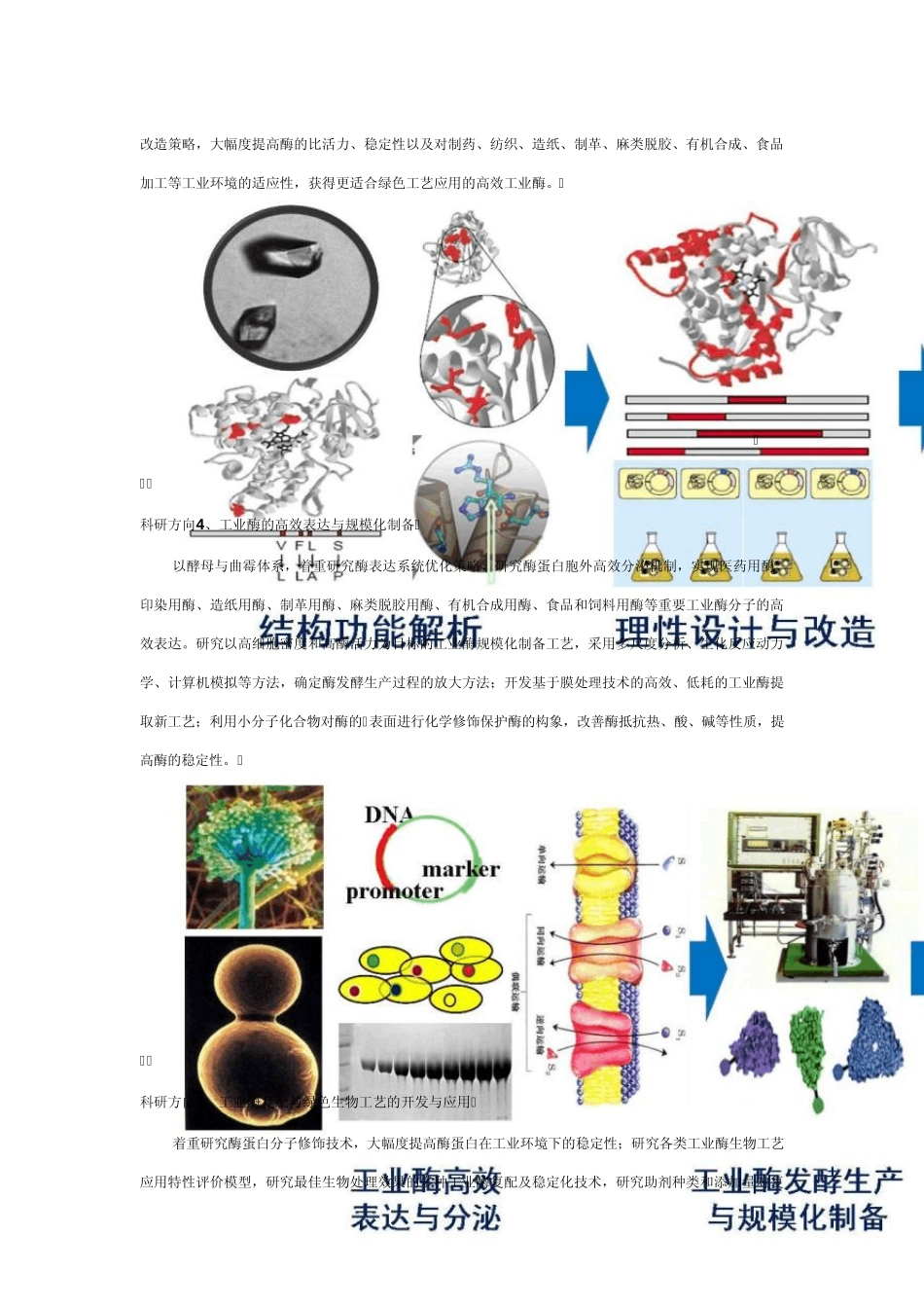 工业酶国家工程实验室_第3页