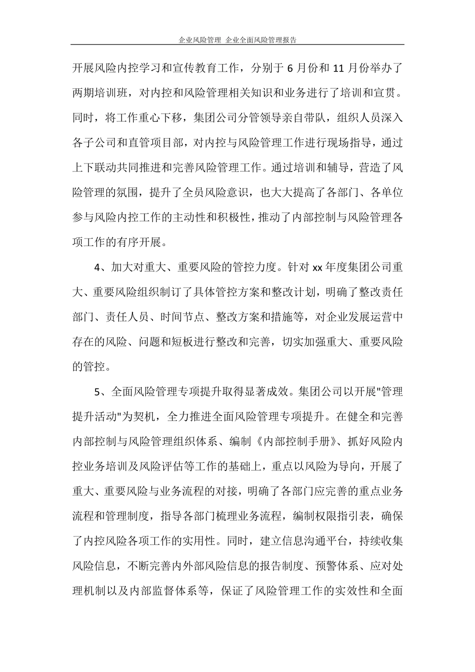 工作报告企业风险管理企业全面风险管理报告_第2页