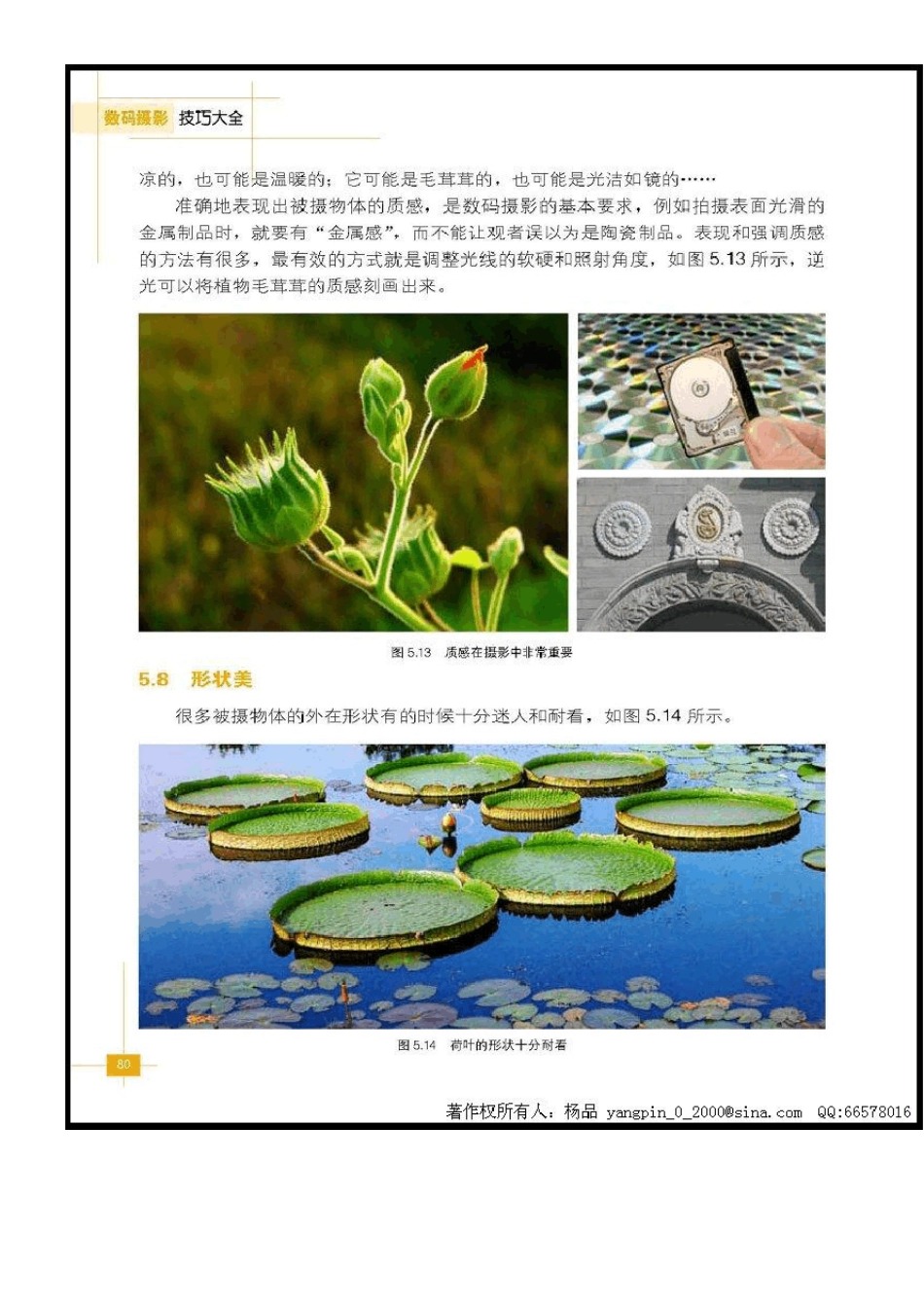 数码相机使用说明书_第1页