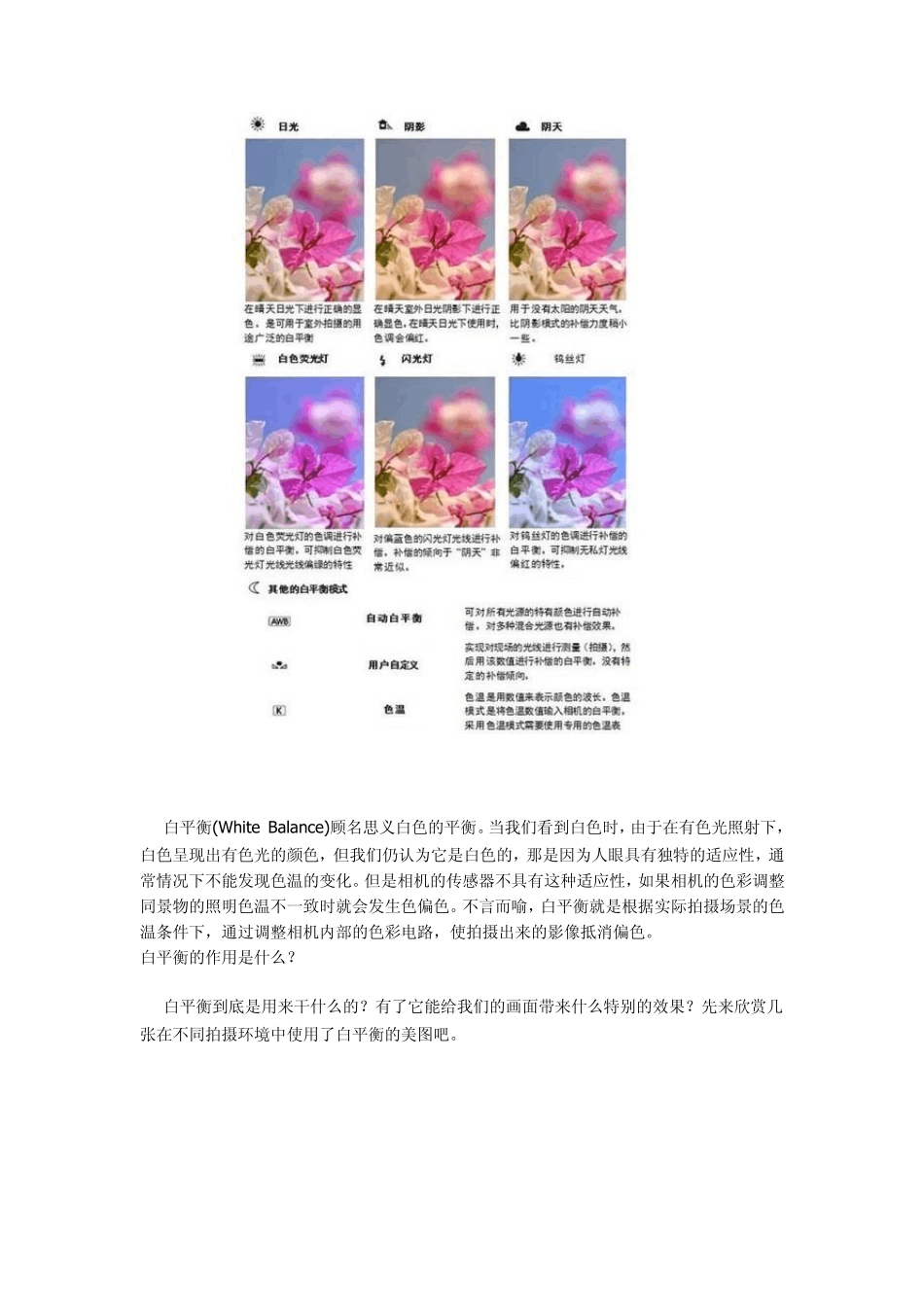 数码相机白平衡设定技巧详解_第3页