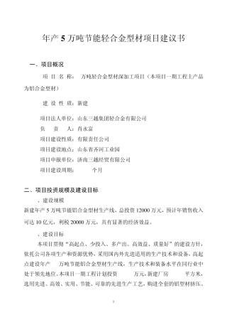 济南三越5万吨轻合金项目建议书