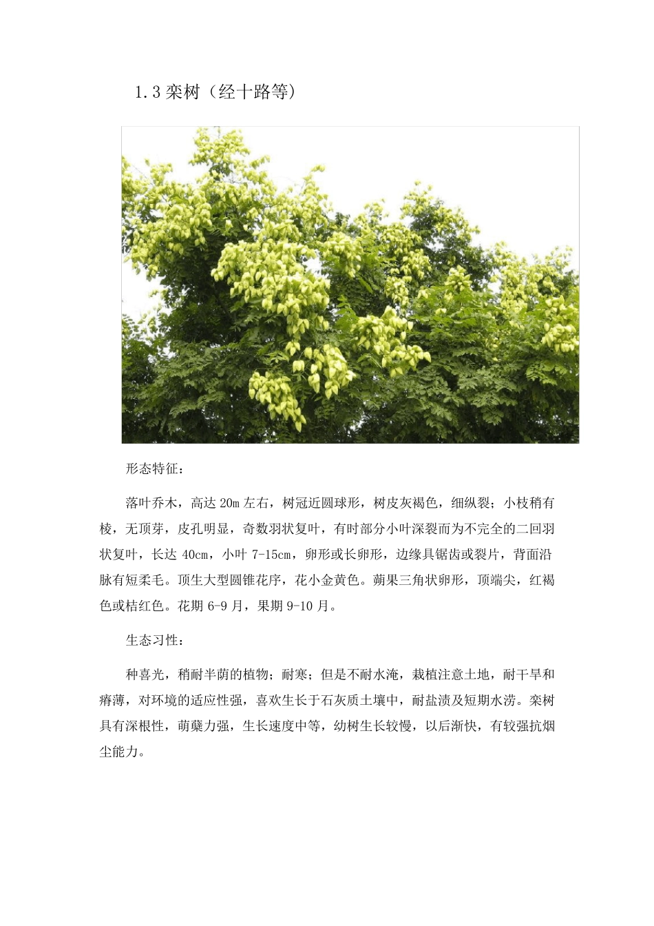 济南常见园林植物_第3页