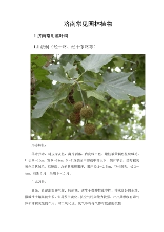 济南常见园林植物