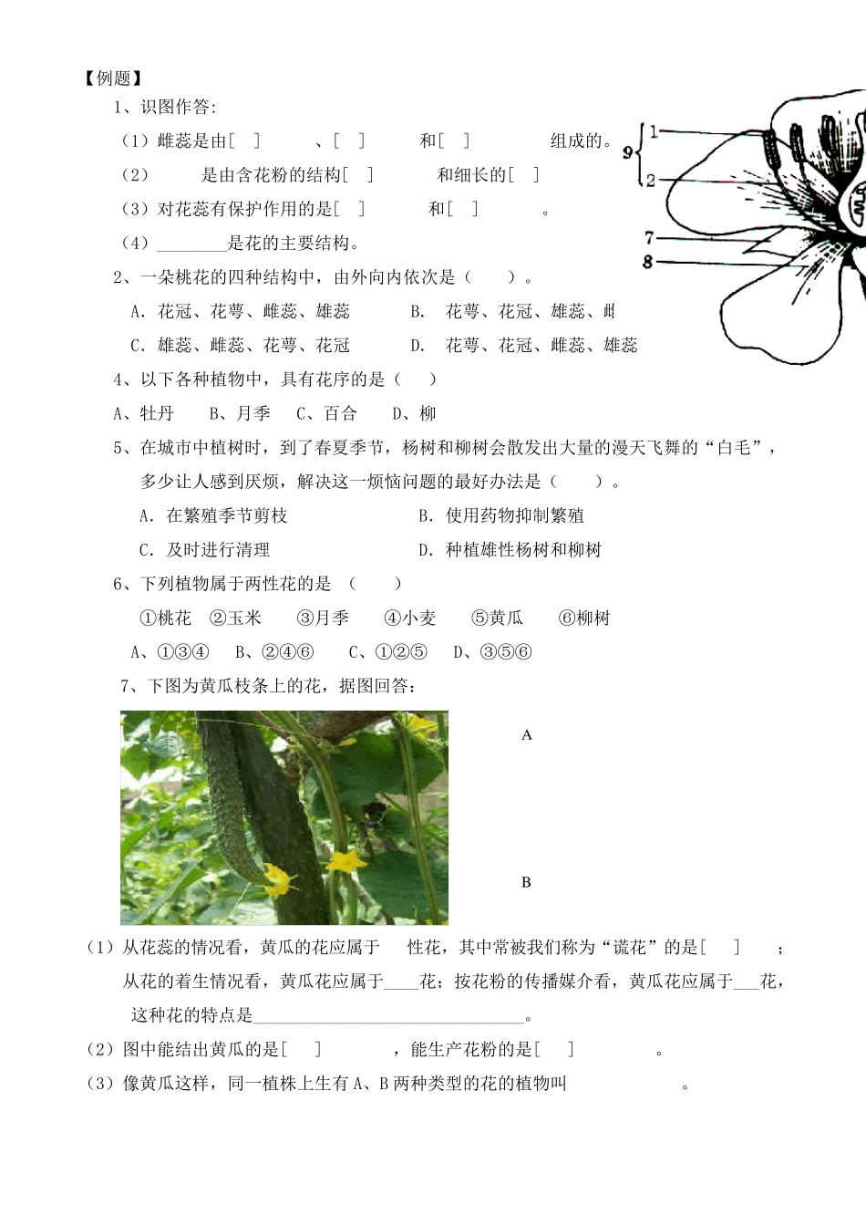 济南版八年级上册生物第一章绿色开花植物的一生复习知识点_第2页