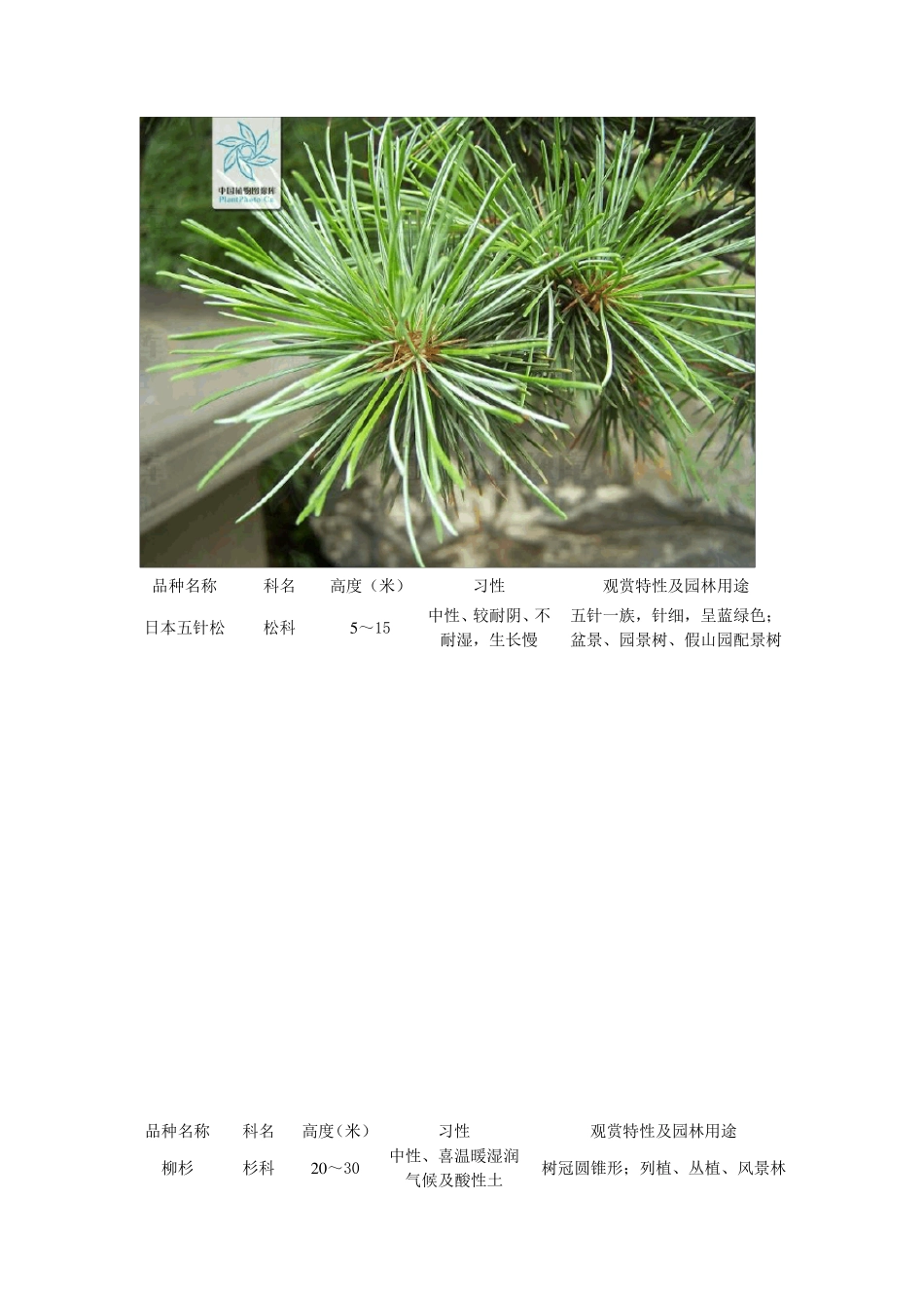 浙江地区绿化工程常用苗木品种和特性简介_第3页