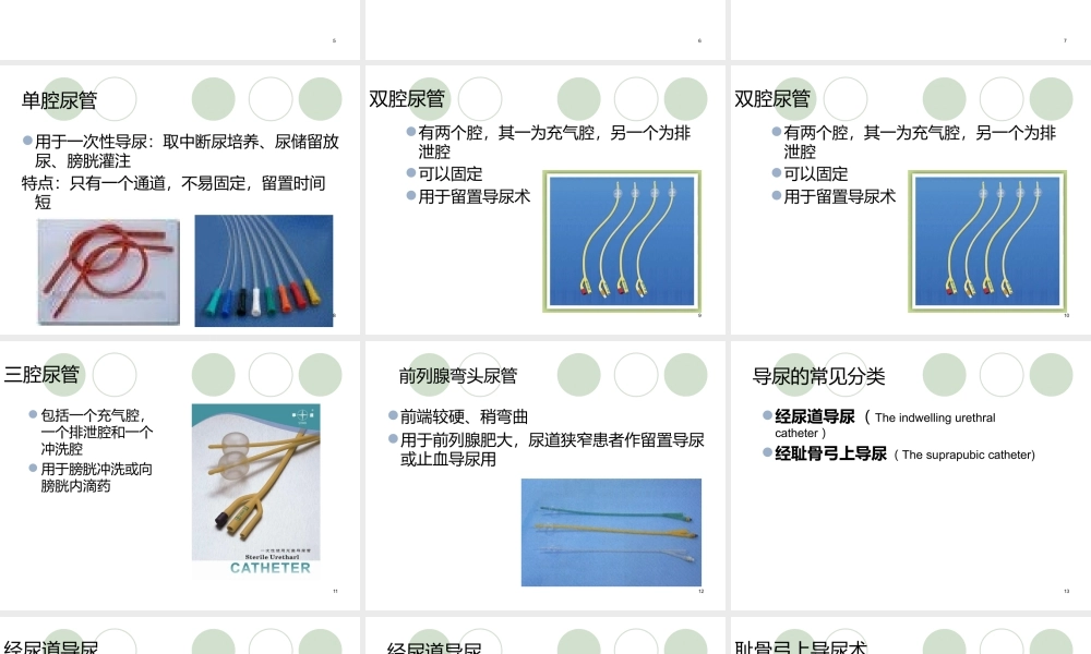 导尿管的应用及护理课件