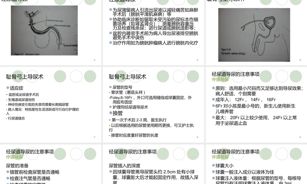 导尿管的应用及护理课件