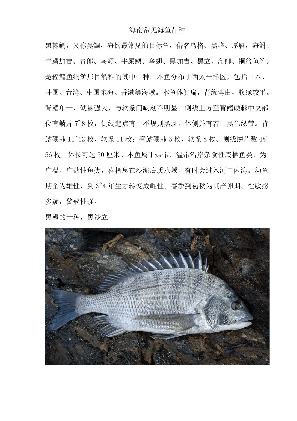 海南常见海鱼品种_第1页