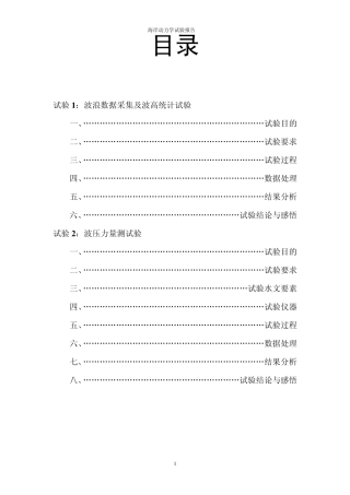 海岸动力学试验