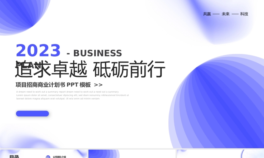 项目招商商业计划书