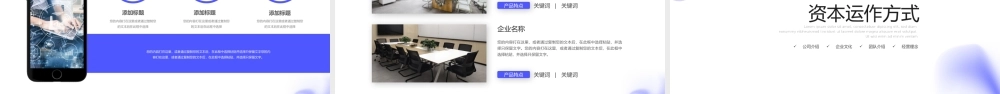 项目招商商业计划书