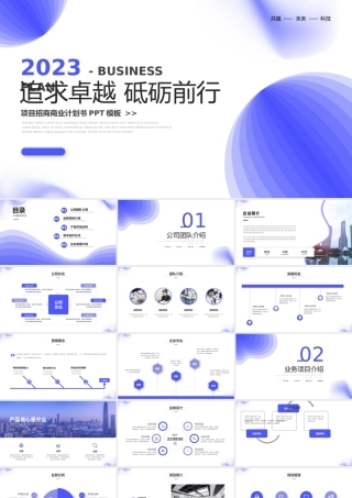 项目招商商业计划书