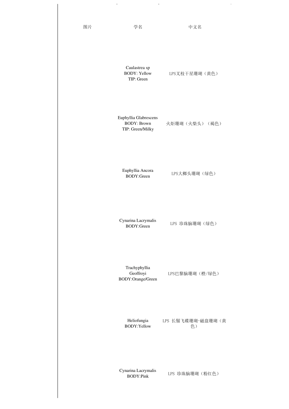 海水饲养基础3珊瑚品名lps[图集]_第1页