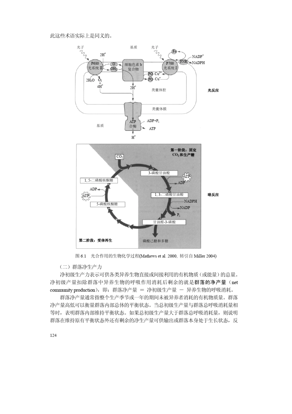 海洋初级生产力_第2页