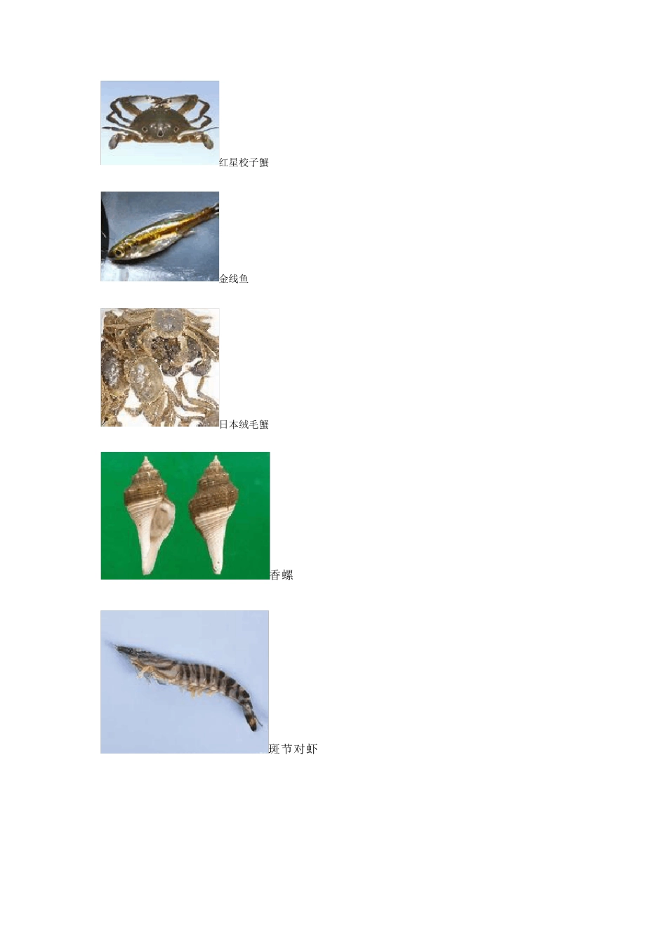 海洋生物学海洋生物图片名称_第2页